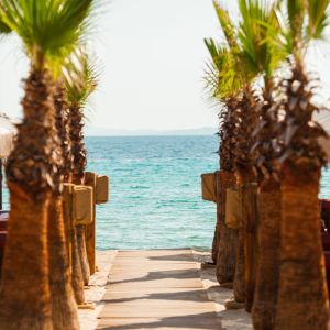 beach lounge beach lounge