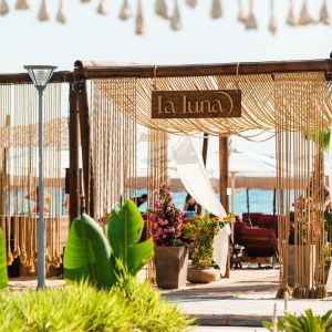 beach lounge beach lounge