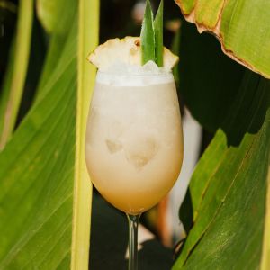 cocktails cocktails