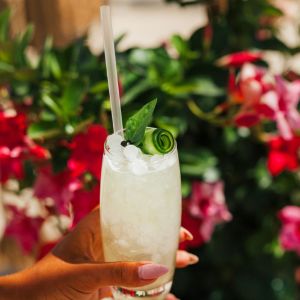 cocktails cocktails