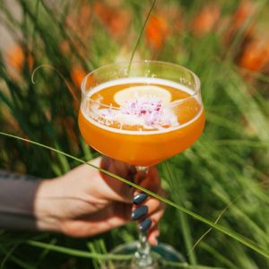 cocktails cocktails