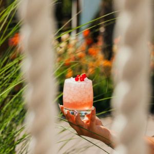 cocktails cocktails